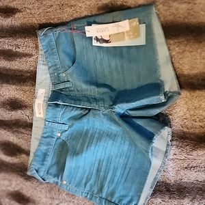 Carve Designs shorts blue corduroy
